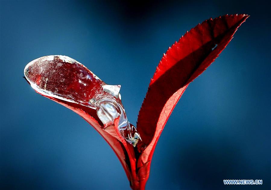 XINHUA PHOTO WEEKLY CHOICES