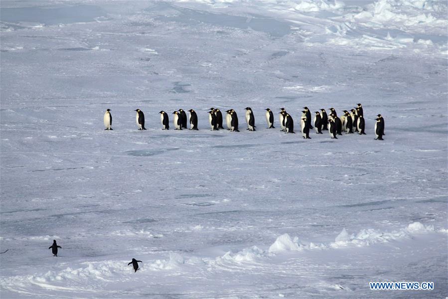 ANTARCTICA-PRYDZ BAY-XUELONG-EXPEDITION