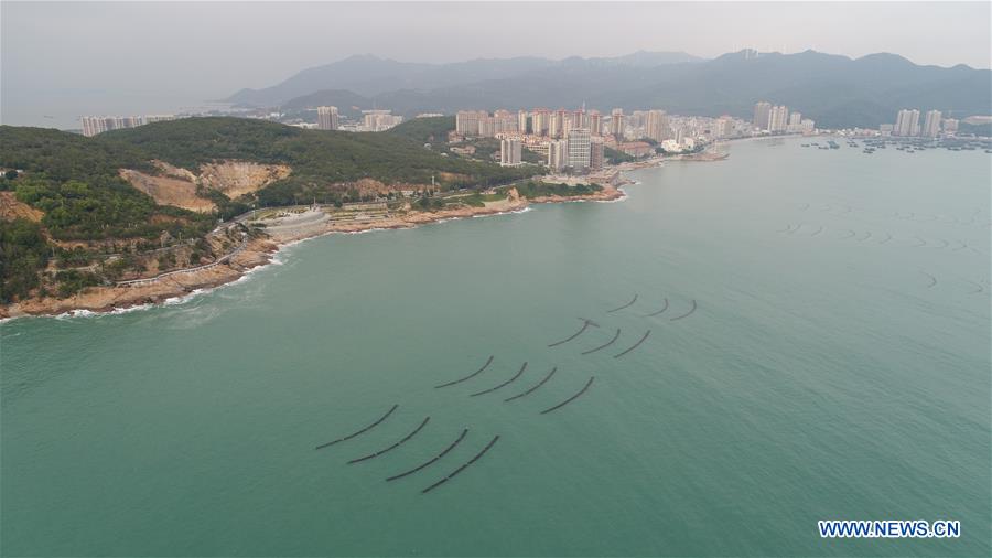 #CHINA-GUANGDONG-NAN'AO-DRIED LAVER (CN)