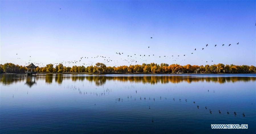 (年終報(bào)道)(4)2018年看大美中國(guó)