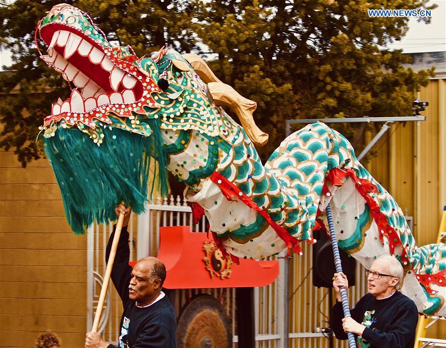 U.S.-NEW MEXICO-LUNAR NRE YEAR