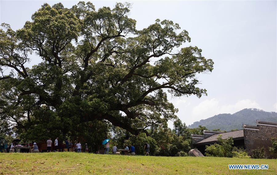 CHINA-JIANGXI-ANYI-TOURISM (CN)