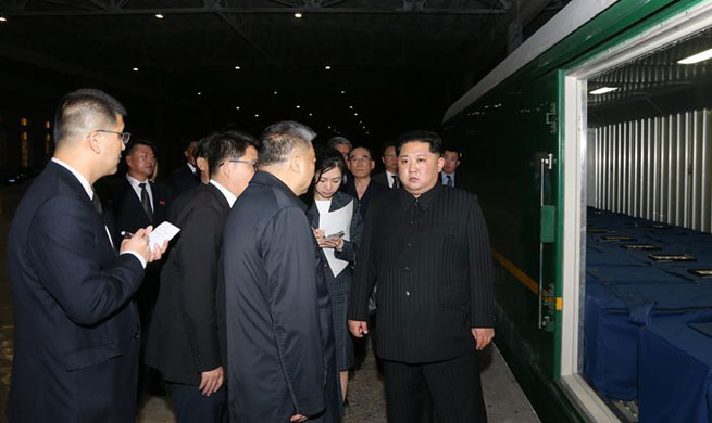 Train carrying Chinese DPRK road accident victims arrives in northeast
China