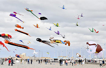 In pics: 20th Dieppe Int'l Kite Festival