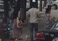 組圖：天天秀恩愛！范冰冰李晨甜蜜遛狗引圍觀