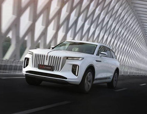 各美其美，美美與共——2020中國(guó)企業(yè)家博鰲論壇品牌品鑒交流會(huì)側(cè)記