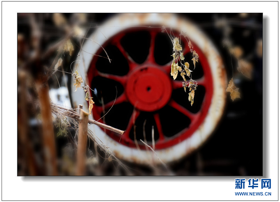 《遺世流年抹滄?！?>	</a></div>
</div>
<div   id=