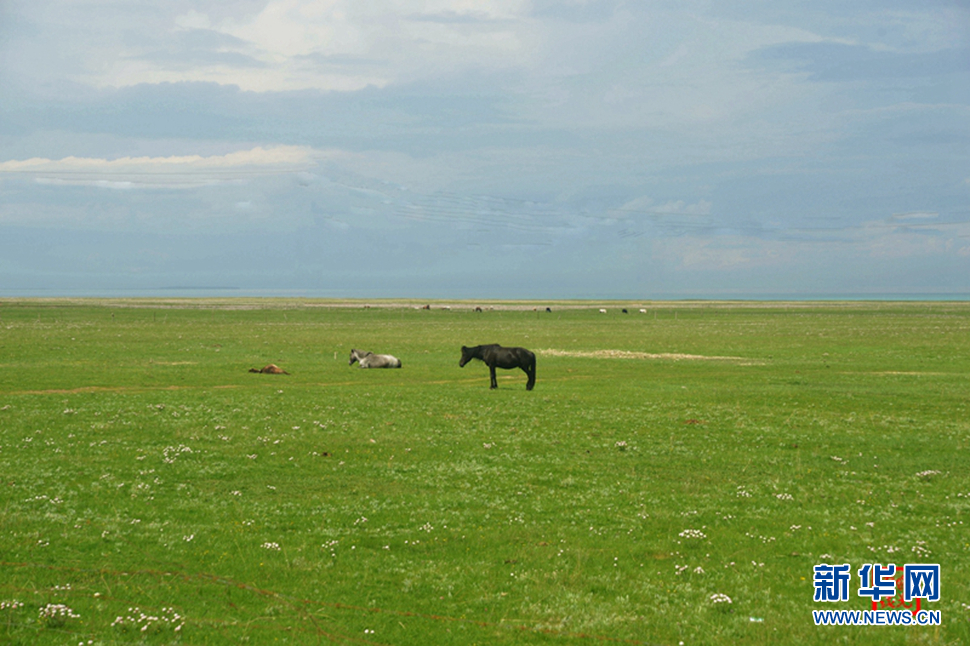 高原放歌之那山、那寺、那朵云