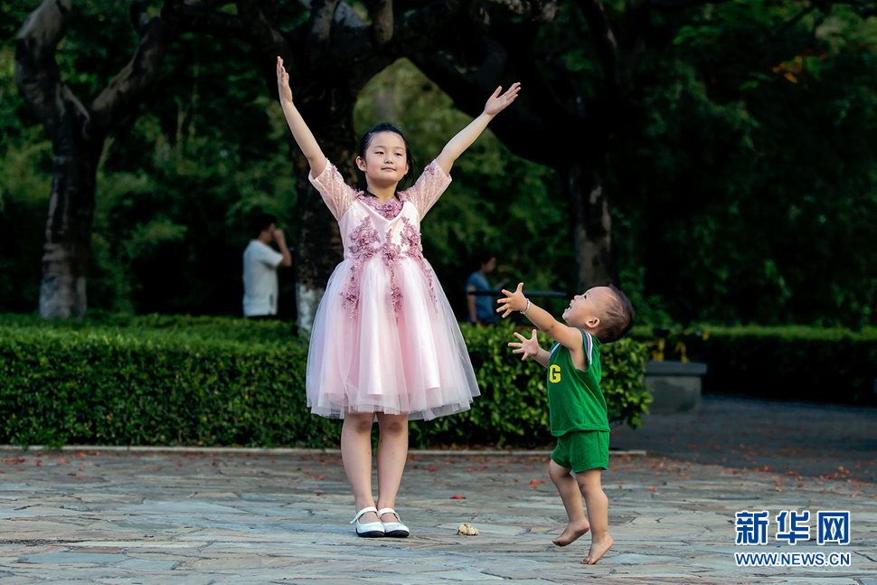 生命中的小精靈