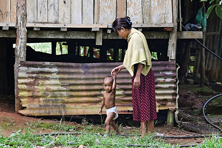 重生之路：珍尼湖的生態(tài)覺醒