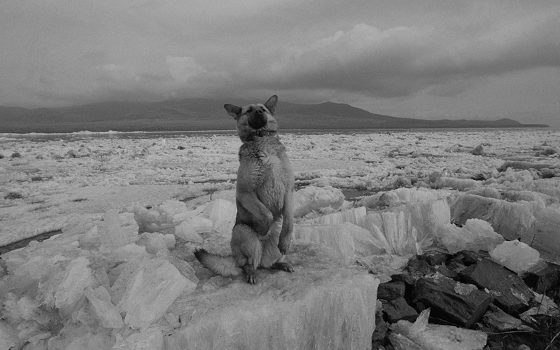 線云強(qiáng)作品:東方第一哨，最早迎接太陽的士兵