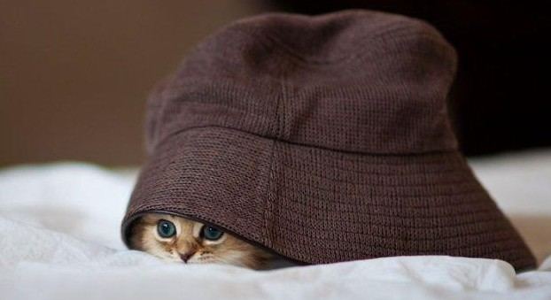 老外搞怪！facebook插圖欣賞(組圖)