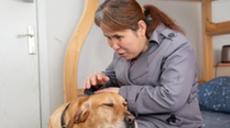 &ldquo;有你在身旁，真好&rdquo;