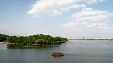 杭州:西湖初夏美