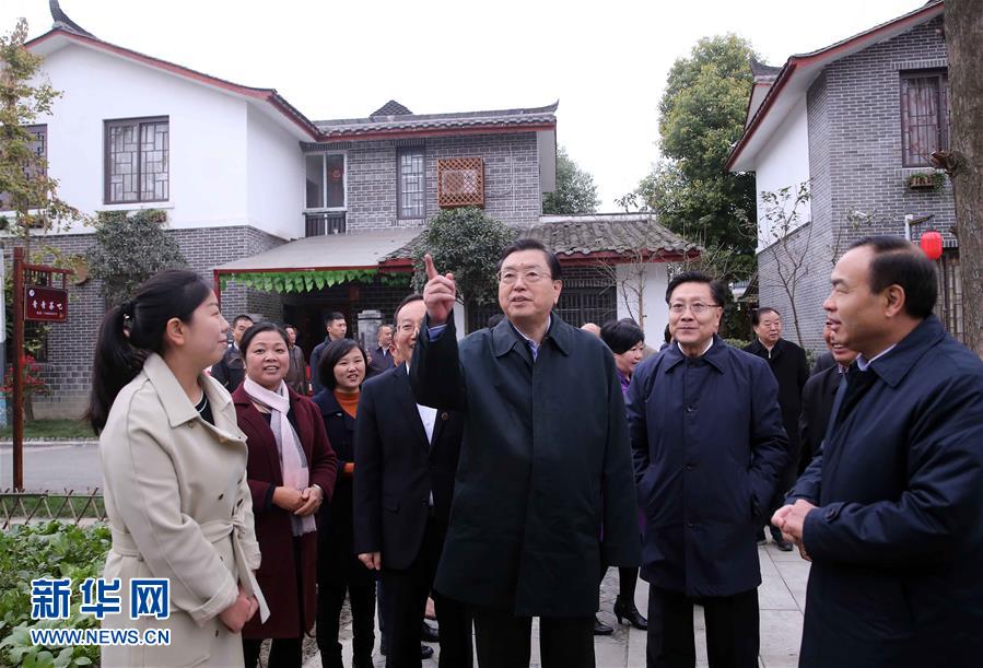 這是11月22日，張德江來到成都郫縣青杠樹村，了解村民委員會(huì)工作情況。 新華社記者 劉衛(wèi)兵 攝 
