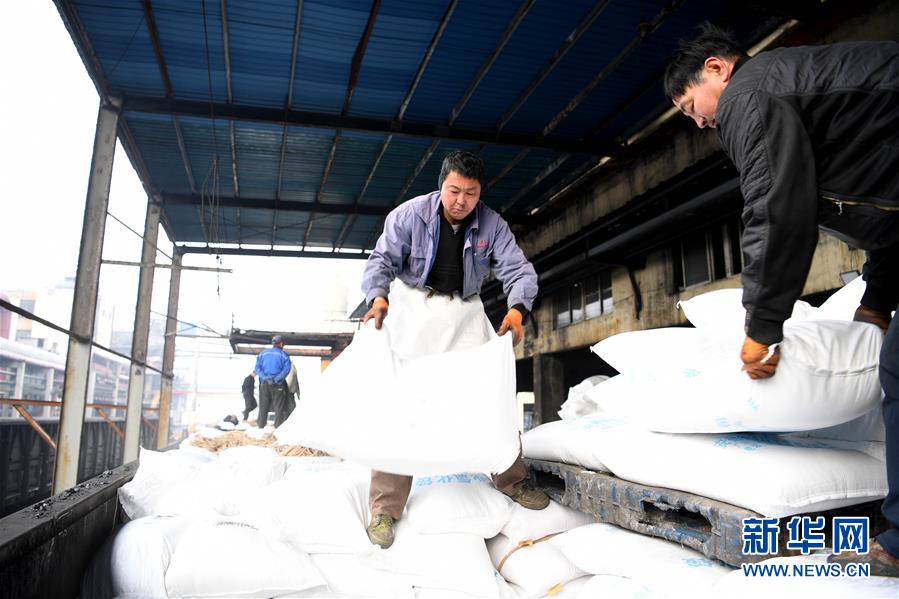 (新春走基層)(2)安徽:農(nóng)資“春運”助春耕