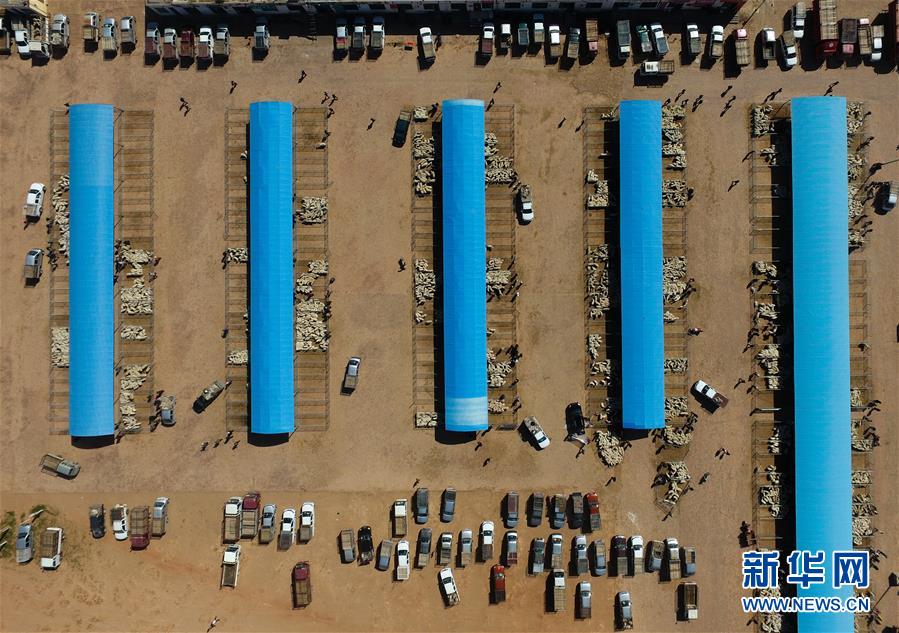 (經(jīng)濟(jì))(1)羊群交易市場忙