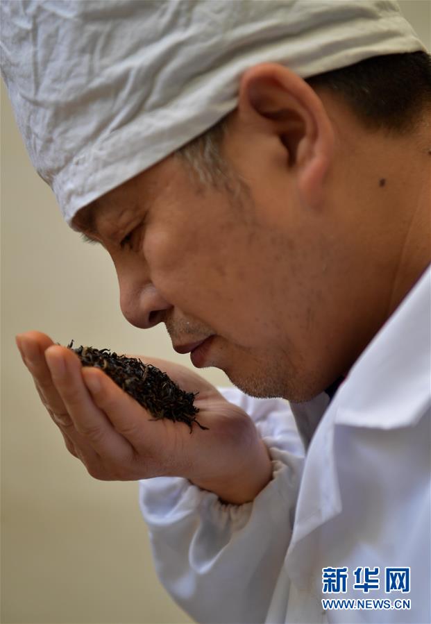 #(社會(huì))(5)人間至味“冷后渾”