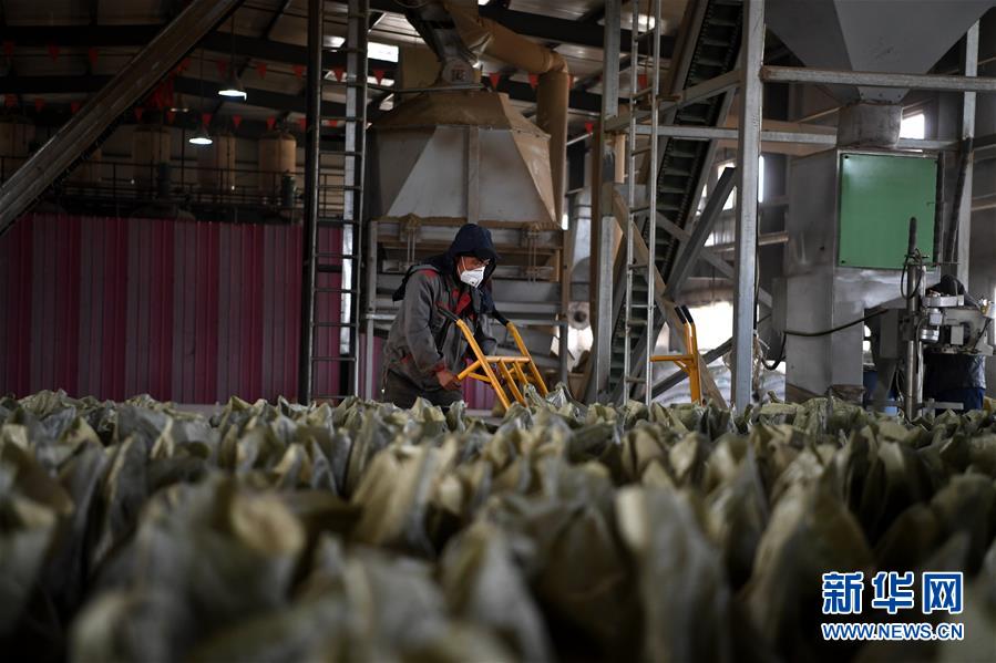 （在習(xí)近平新時代中國特色社會主義思想指引下&mdash;&mdash;新時代新氣象新作為&middot;鄉(xiāng)村振興戰(zhàn)略&middot;圖文互動）（1）&ldquo;與其放火，不如打包&rdquo;&mdash;&mdash;山西渾源秸稈綜合再利用見聞