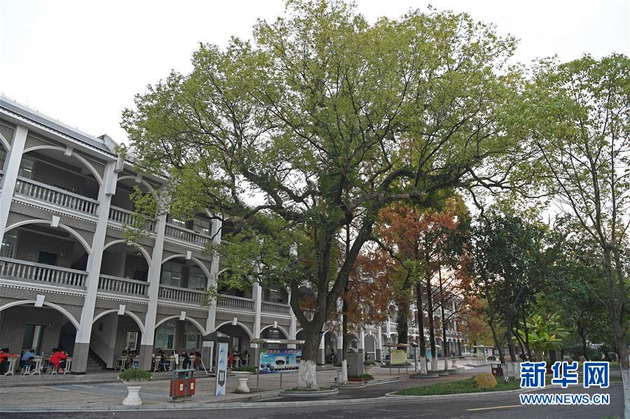 (慶祝改革開放40周年基層行·學(xué)校篇·圖文互動(dòng))(9)白鷺洲中學(xué)40年:書院教育的時(shí)代探索