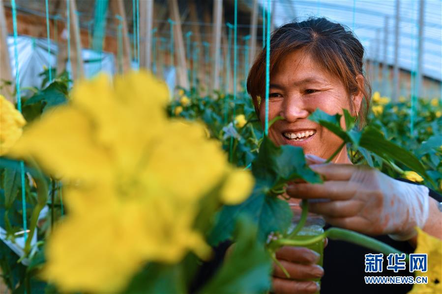 (兩會前夕看落實·圖文互動)(4)融合“三生三美” 打造鄉(xiāng)村振興齊魯樣板——山東落實習近平總書記全國兩會重要講話精神紀實