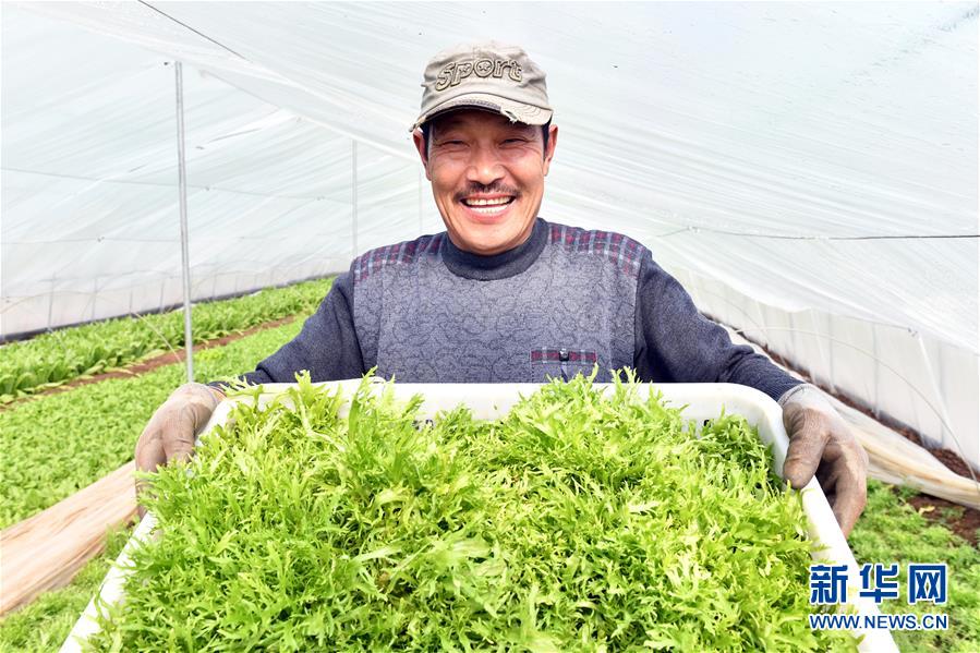 (兩會前夕看落實·圖文互動)(3)融合“三生三美” 打造鄉(xiāng)村振興齊魯樣板——山東落實習近平總書記全國兩會重要講話精神紀實