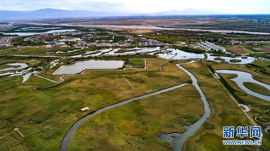 （新華全媒頭條·圖文互動）（5）攻堅，為了美麗中國——黨的十八大以來污染防治紀(jì)實