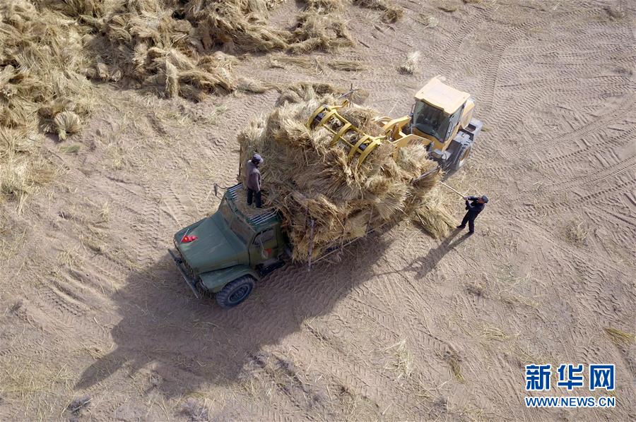 (新華全媒頭條·圖文互動(dòng))(7)八步沙·六老漢·三代人