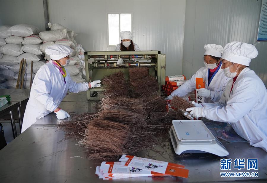 （走基層 聽民聲&middot;圖文互動）（5）電商扶貧 讓陜西山區(qū)農(nóng)業(yè)擁抱&ldquo;藍(lán)海&rdquo;