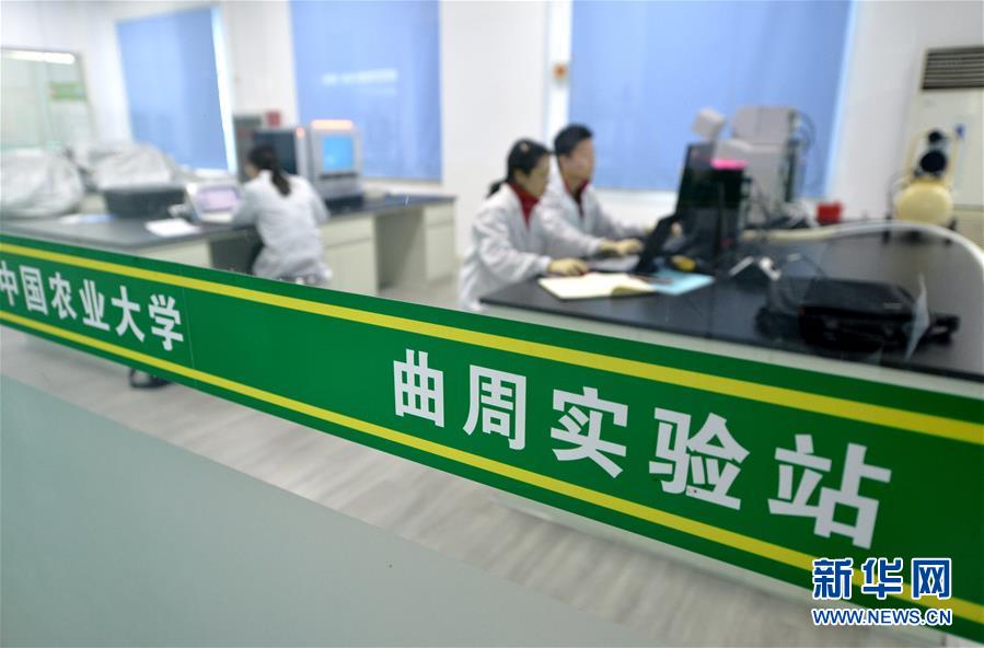 （愛國情 奮斗者&middot;圖文互動）（3） &ldquo;解民生之多艱，育天下之英才&rdquo;&mdash;&mdash;中國農(nóng)大師生扎根田野書寫奉獻(xiàn)之歌