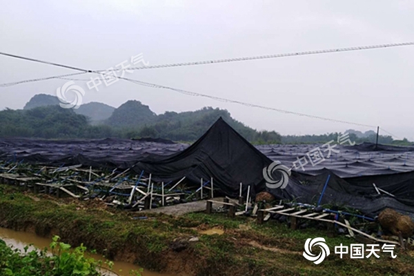 周末雨不休！南北方同迎大范圍降水