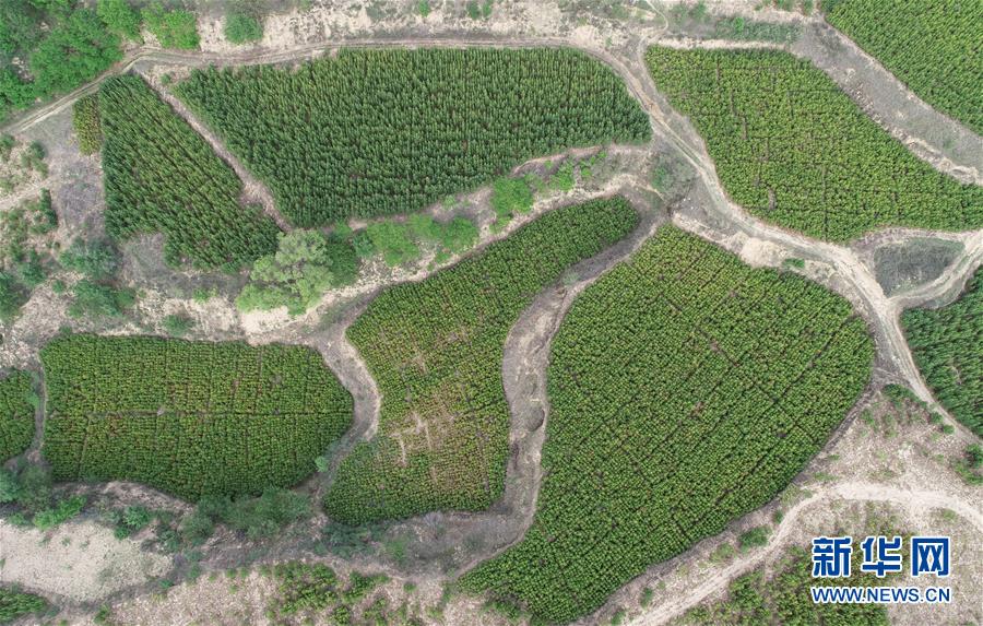 (新華全媒頭條·北京世園會·圖文互動)(8)共繪人類生態(tài)文明美麗畫卷——從北京世園會看中國綠色發(fā)展的“世界貢獻(xiàn)”