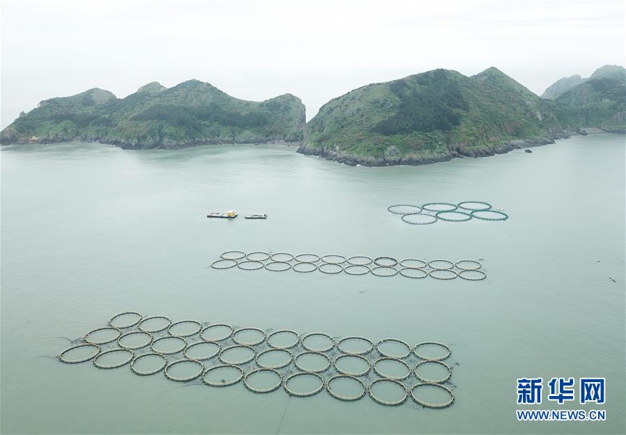 (壯麗70年·奮斗新時代·圖文互動)(2)“東海明珠”挺立一座“精神燈塔”——追尋浙江臺州大陳島墾荒精神