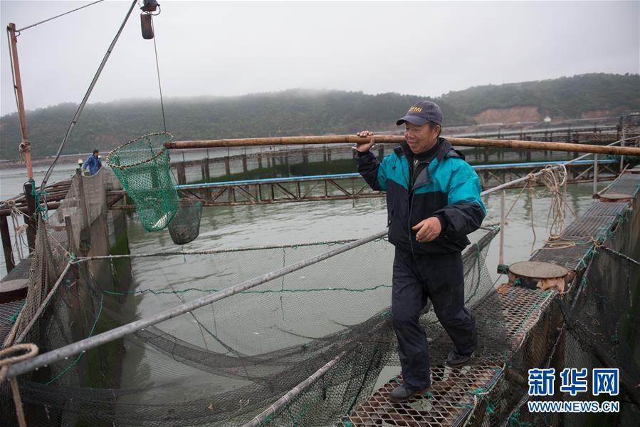 (壯麗70年·奮斗新時代·圖文互動)(6)“東海明珠”挺立一座“精神燈塔”——追尋浙江臺州大陳島墾荒精神