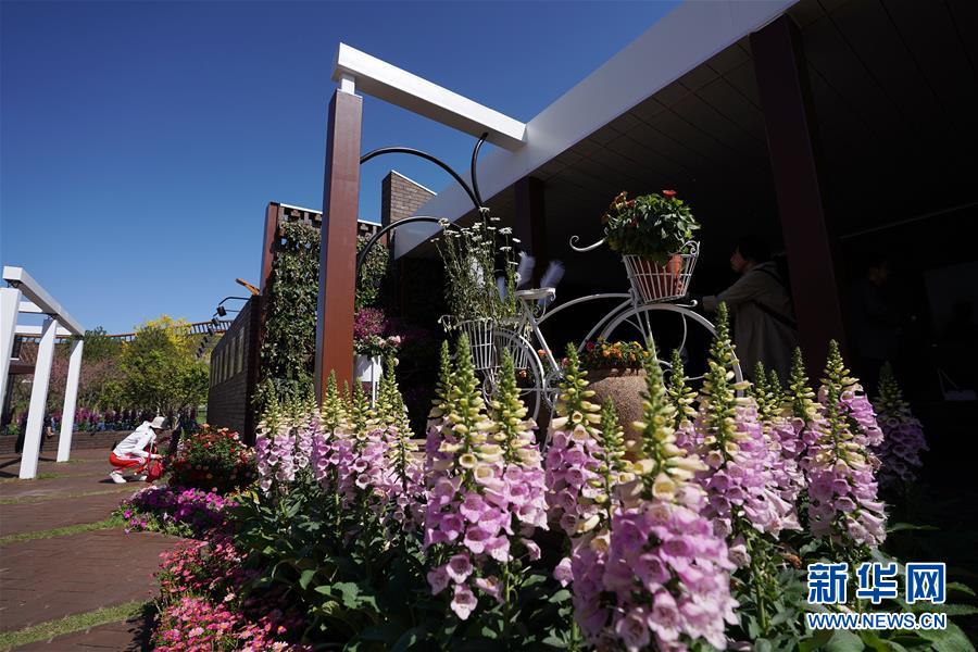 (北京世園會(huì))(2)北京世園會(huì)迎來(lái)“天津日”