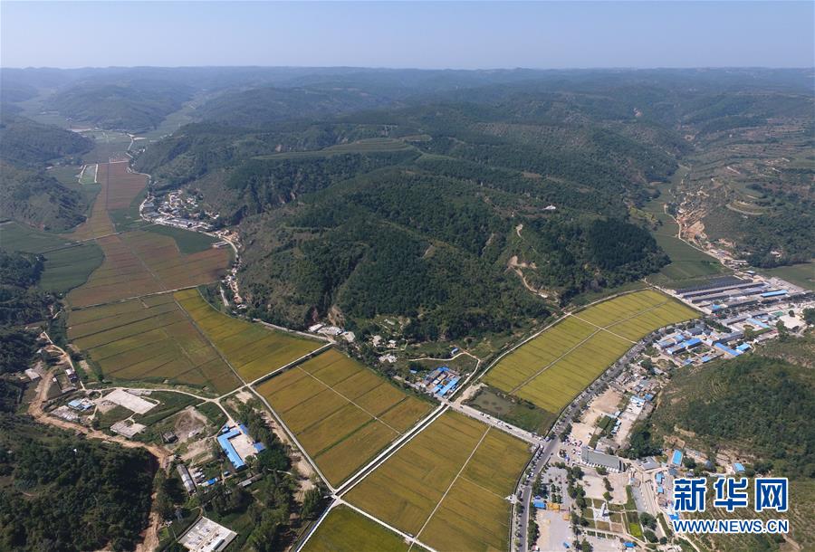 (圖文互動(dòng))(1)今日延安:“對(duì)照過(guò)去我認(rèn)不出了你”——紅色圣地的生態(tài)交響曲