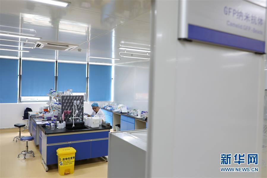 (在習(xí)近平新時(shí)代中國特色社會(huì)主義思想指引下——新時(shí)代新作為新篇章·圖文互動(dòng))(6)從種地到“種”高科技產(chǎn)業(yè)——“改革村”的新思維