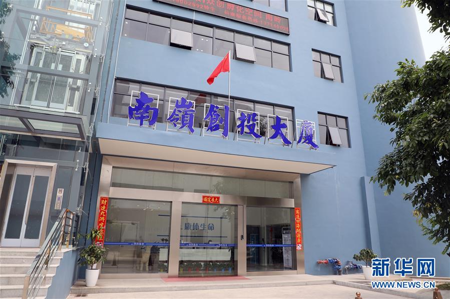 (在習(xí)近平新時(shí)代中國特色社會(huì)主義思想指引下——新時(shí)代新作為新篇章·圖文互動(dòng))(4)從種地到“種”高科技產(chǎn)業(yè)——“改革村”的新思維