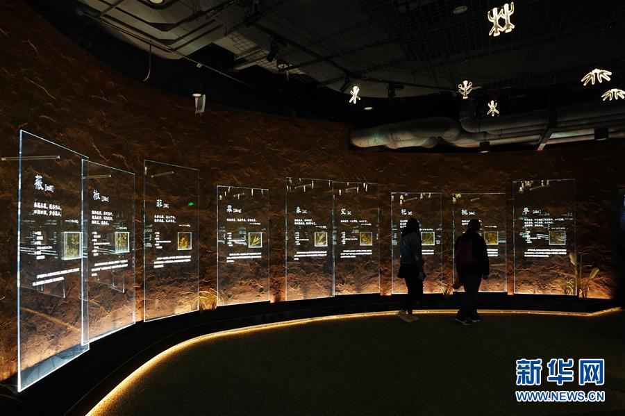 (在習(xí)近平新時(shí)代中國(guó)特色社會(huì)主義思想指引下——新時(shí)代新作為新篇章·圖文互動(dòng))(4)從世園會(huì)“看”中國(guó)綠色發(fā)展之路——寫(xiě)在北京世園會(huì)“中國(guó)國(guó)家館日”到來(lái)之際