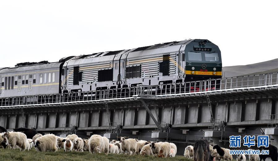 (新華全媒頭條·壯麗70年·奮斗新時(shí)代·圖文互動(dòng))(12)開拓雪域高原的夢(mèng)想之路——來(lái)自青藏鐵路的蹲點(diǎn)報(bào)告