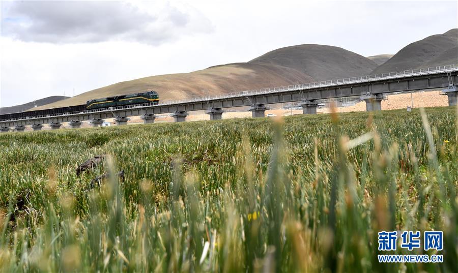 (新華全媒頭條·壯麗70年·奮斗新時(shí)代·圖文互動(dòng))(15)開拓雪域高原的夢(mèng)想之路——來(lái)自青藏鐵路的蹲點(diǎn)報(bào)告