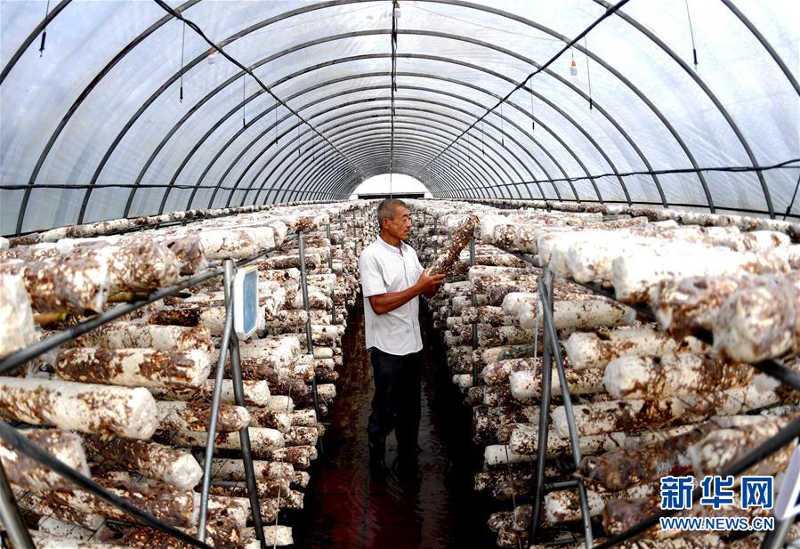 (新華全媒頭條·圖文互動)(10)一個傳統(tǒng)農(nóng)業(yè)縣的脫貧之路——來自河北新河的調(diào)查報告