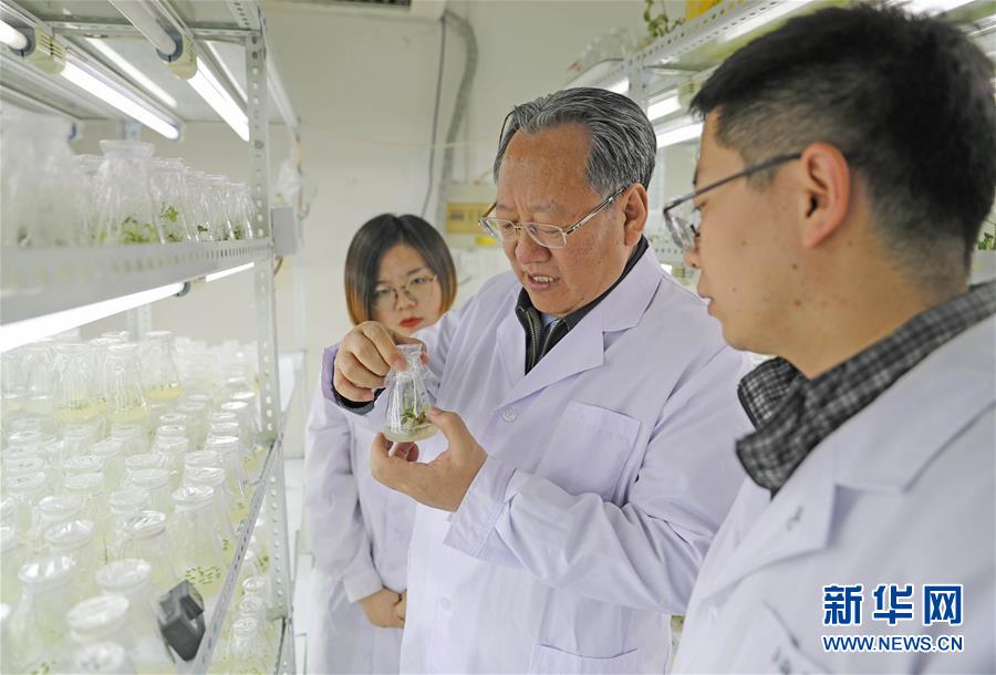 (新華全媒頭條·圖文互動)(1)和蔬菜“說話”的人——中國工程院院士李天來的“棚菜人生”