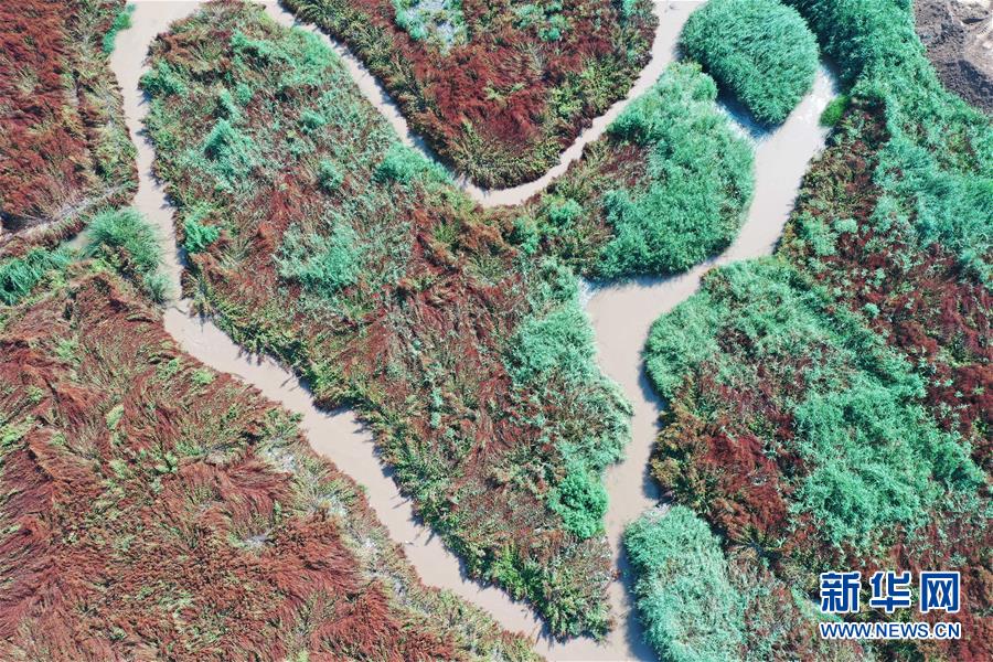 (在習(xí)近平新時代中國特色社會主義思想指引下——新時代新作為新篇章·圖文互動)(6)山水之變看交城