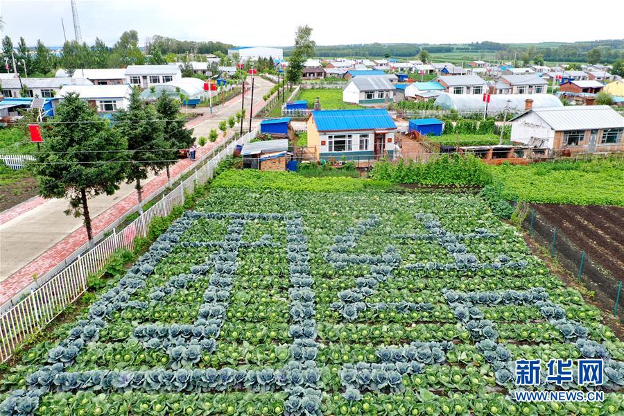 (圖文互動(dòng))(1)(在習(xí)近平新時(shí)代中國(guó)特色社會(huì)主義思想指引下——新時(shí)代新作為新篇章)“團(tuán)結(jié)”振興團(tuán)結(jié)村——黑龍江拜泉縣團(tuán)結(jié)村凝聚民心攻堅(jiān)脫貧
