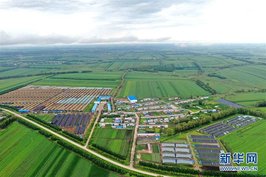 (圖文互動(dòng))(2)(在習(xí)近平新時(shí)代中國(guó)特色社會(huì)主義思想指引下——新時(shí)代新作為新篇章)“團(tuán)結(jié)”振興團(tuán)結(jié)村——黑龍江拜泉縣團(tuán)結(jié)村凝聚民心攻堅(jiān)脫貧