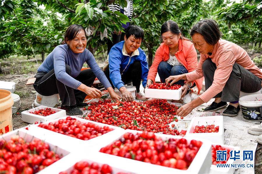 (在習(xí)近平新時(shí)代中國(guó)特色社會(huì)主義思想指引下——新時(shí)代新作為新篇章·圖文互動(dòng))(2)中條山下綠意濃——一個(gè)“資源窮縣”的生態(tài)發(fā)展之路