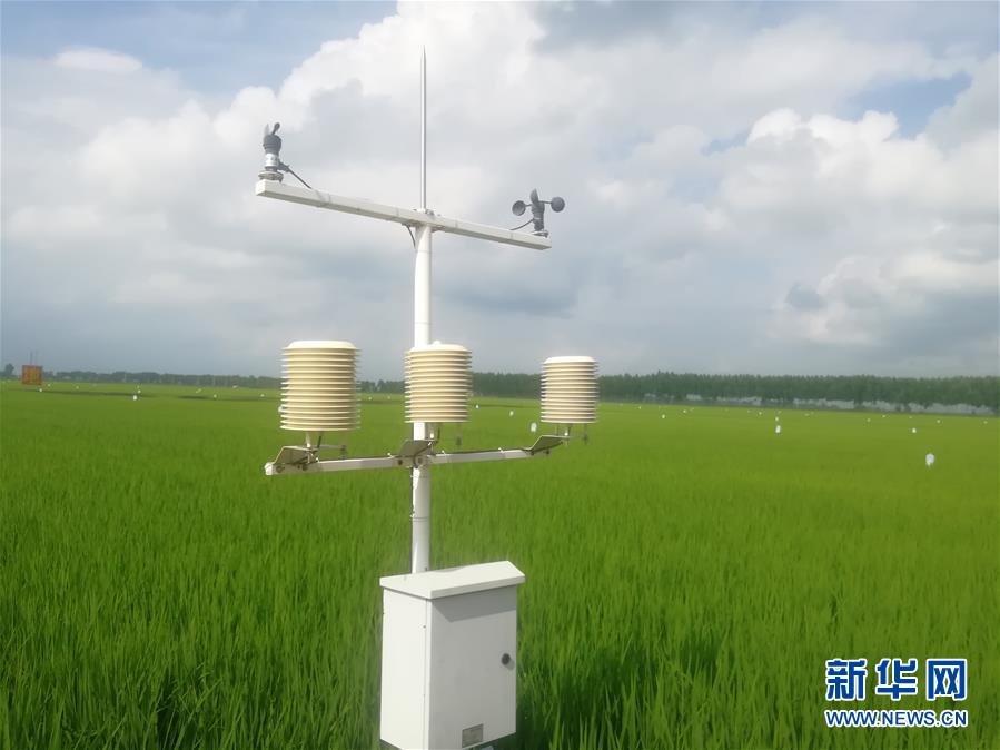 (在習(xí)近平新時代中國特色社會主義思想指引下——新時代新作為新篇章·圖文互動)(1)從“靠天吃飯”到“看天管理”——黑龍江創(chuàng)新氣象為農(nóng)服務(wù)體系觀察