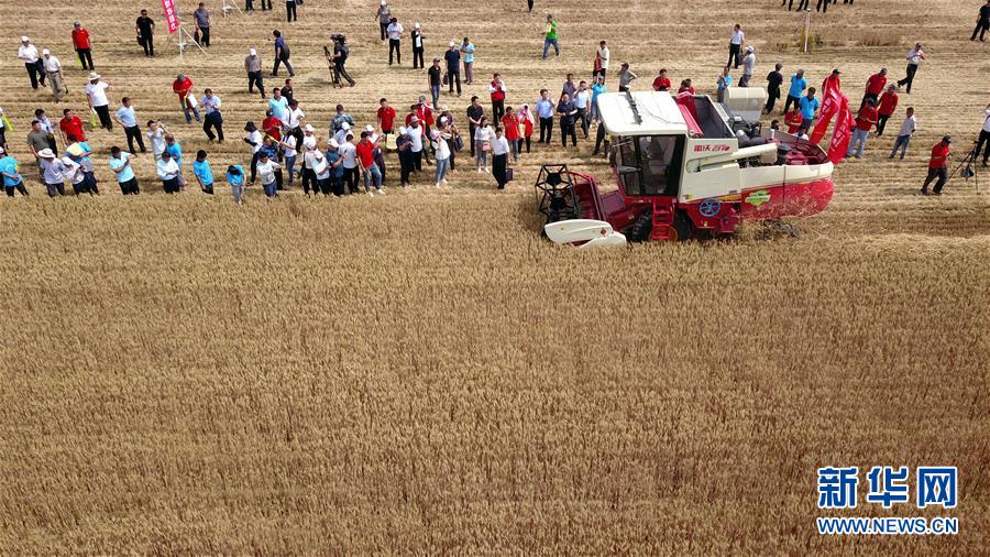 (壯麗70年·奮斗新時代——共和國發(fā)展成就巡禮)(3)看今朝齊風魯韻 七十載芳華正勁——新中國成立以來山東領先發(fā)展紀實