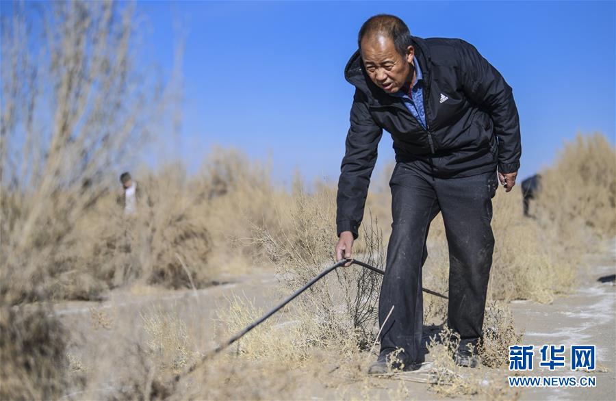 (新華全媒頭條·圖文互動)(2)大漠小城的絕地反擊